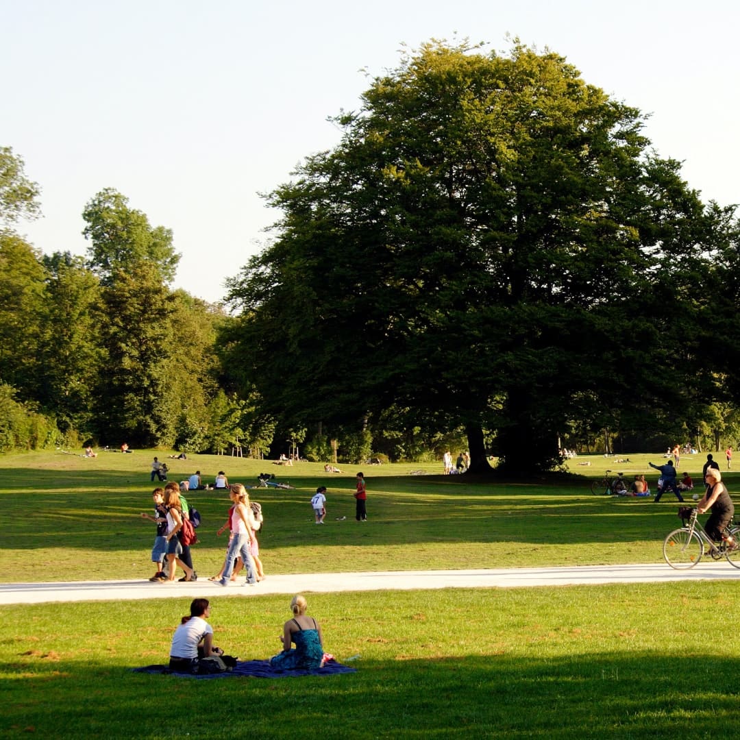 Picture of Park Setting